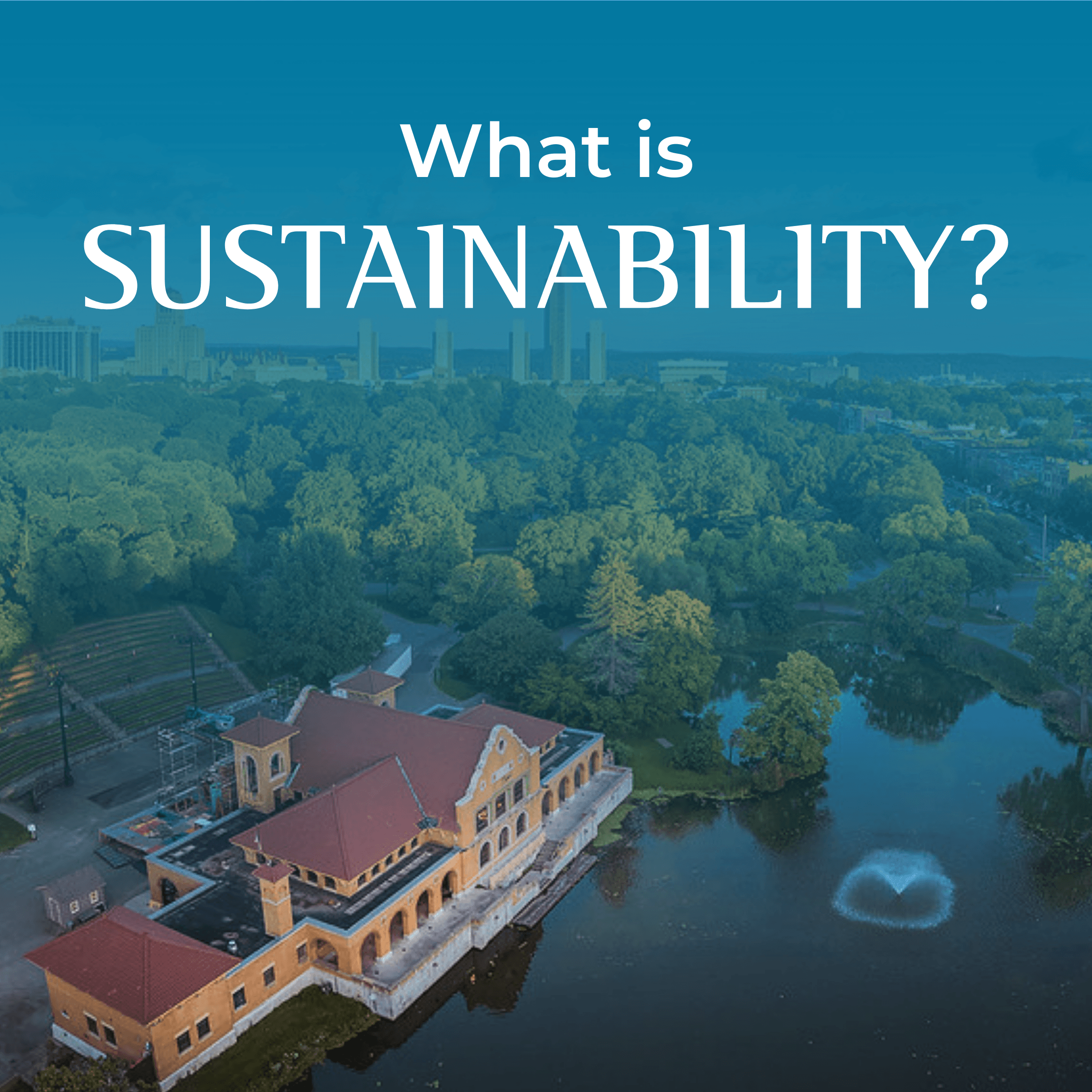 What is Sustainability