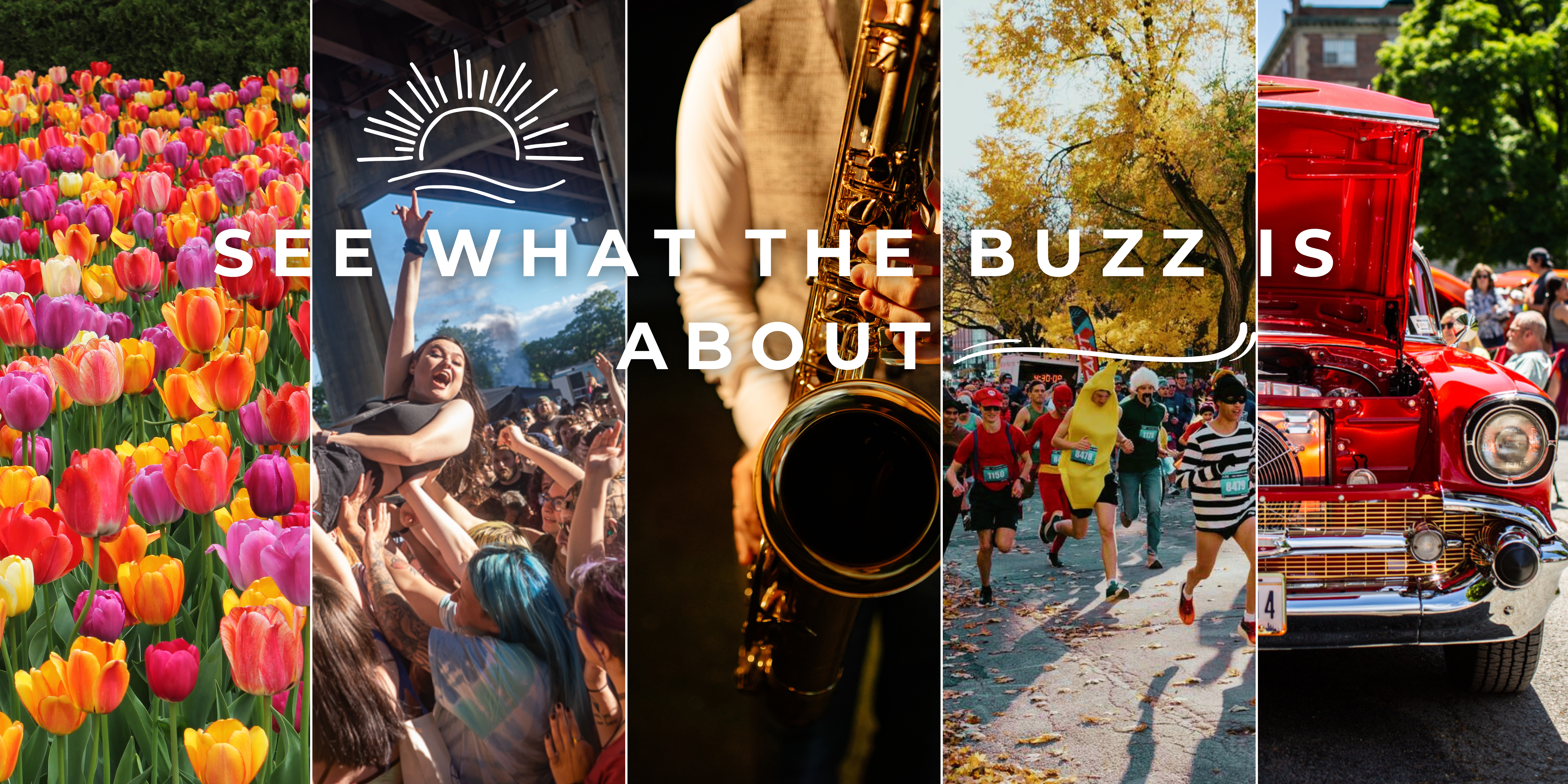 See What the Buzz is About