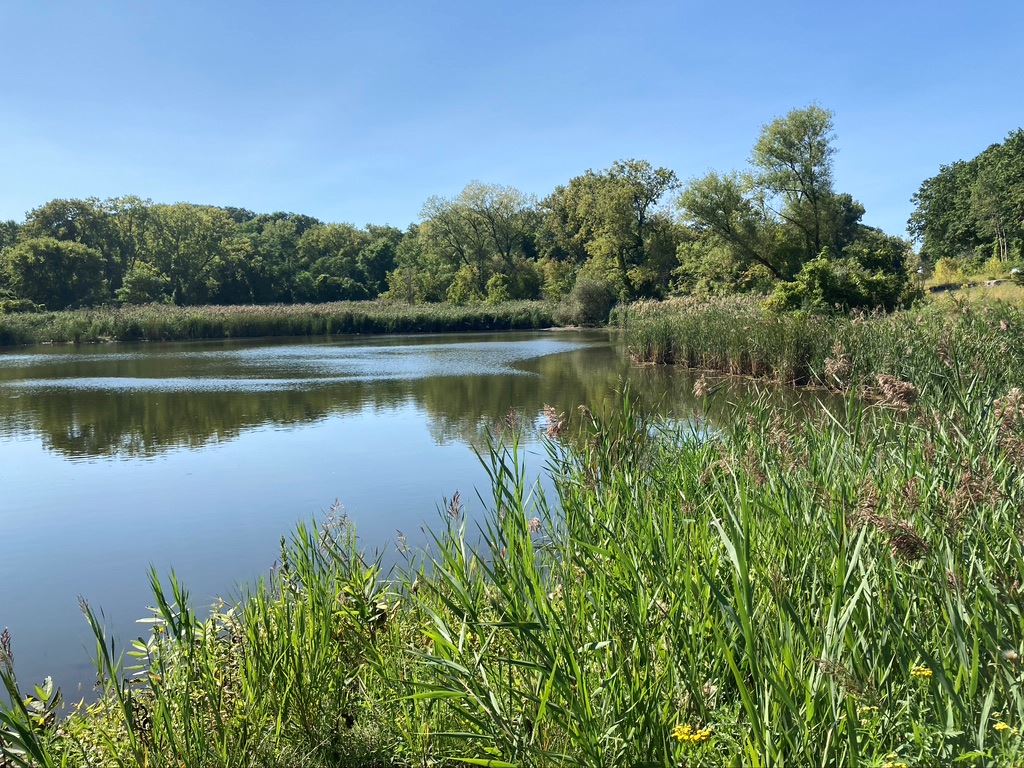Tivoli Lake Preserve 