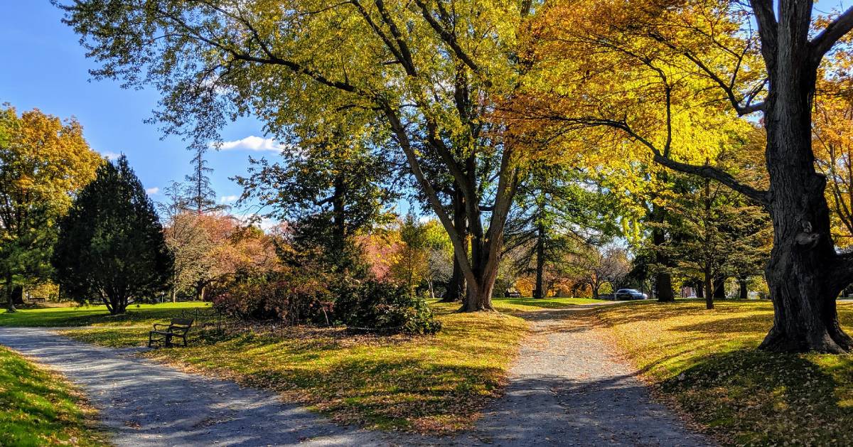 Washington Park Pathway during the Fall